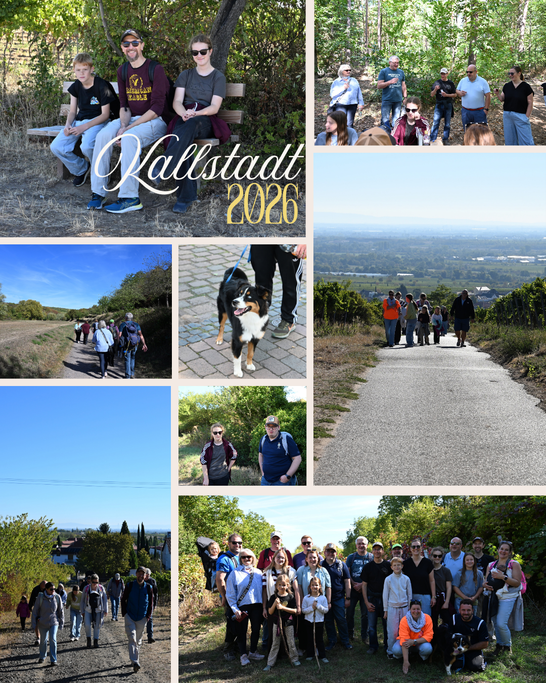 Ausflug nach Kallstadt 2027, Wanderung durch die Weinberge